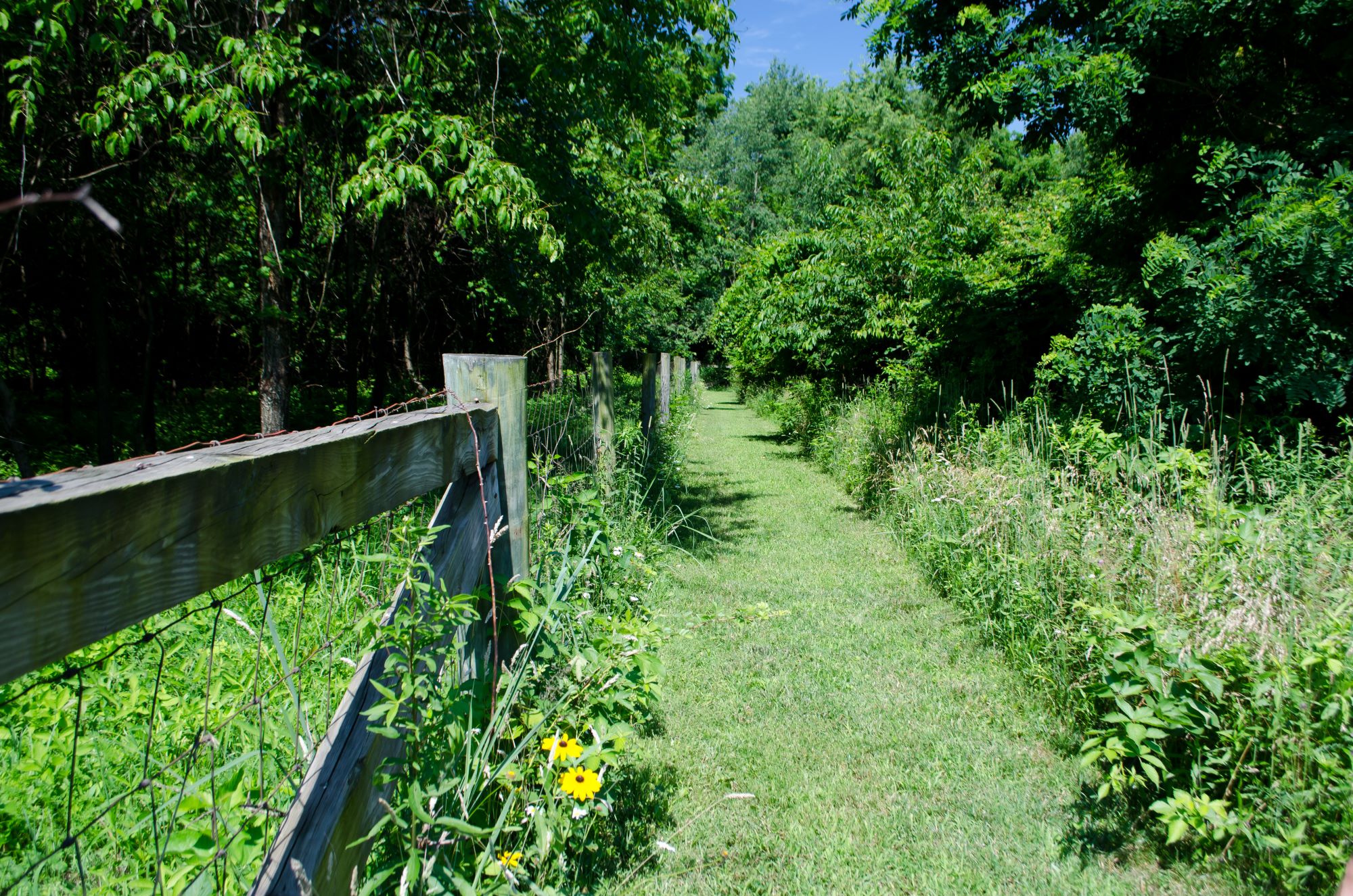 Berkshire OH Shutterstock 1130220275